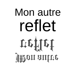 Mon autre reflet blog logo